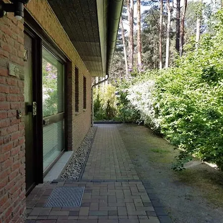 Am Duenenwald - Dh